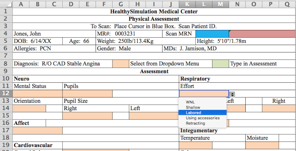 Medical Record Template Excel from www.healthysimulation.com