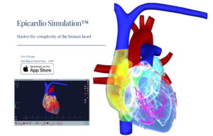 heart simulator