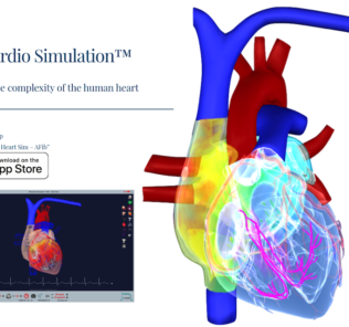heart simulator
