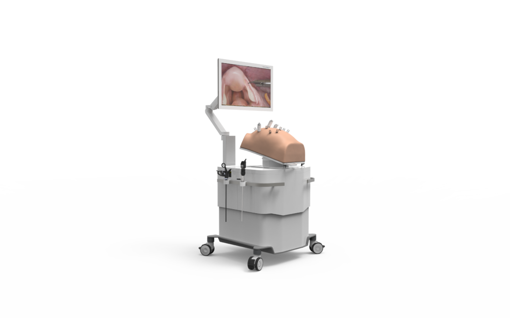 Surgical Gynecology Simulator