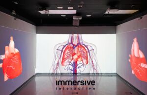 BioDigital on immersive interactive projected wall environments