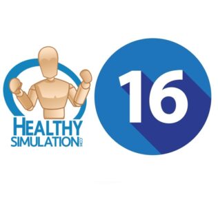 16 Must Know Healthcare Simulation Key Terms